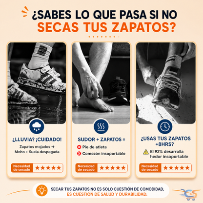 Secador de Zapatos Eléctrico